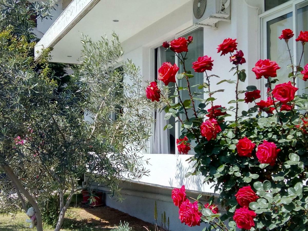 Studio Poseidonia Apartment 75Sqm Corinth Canal Kültér fotó